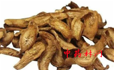 蝎子吃什么？蝎子的食物介绍