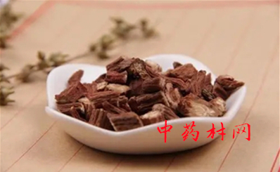 长春花什么时候播种？长春花怎么修剪？