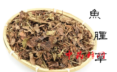 小白芨多少钱一斤？2020年种植前景如何？