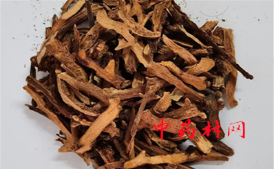 百部和什么搭配最好,百部和什么相克